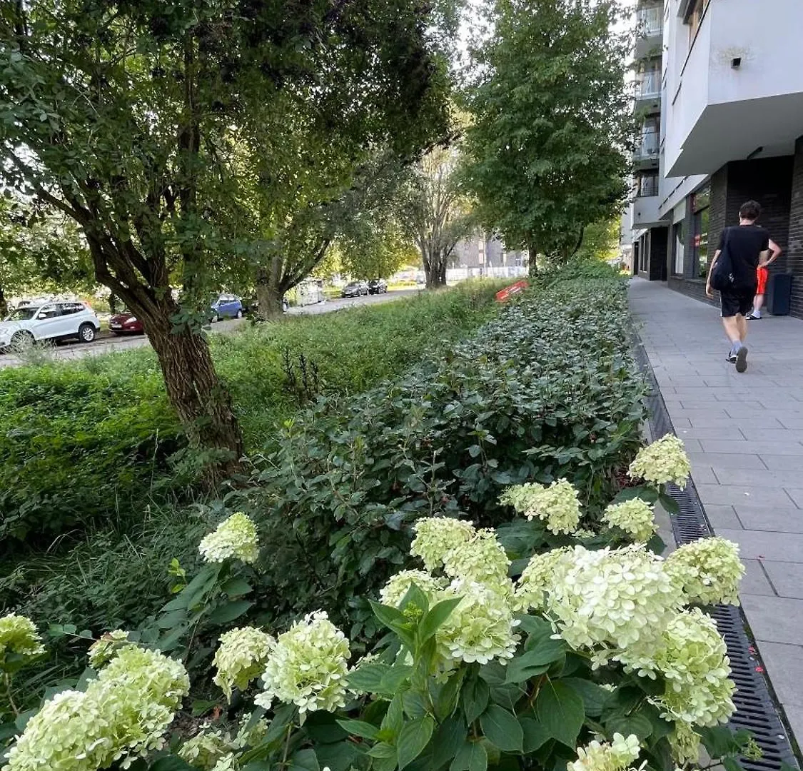 Апартаменты Apartamenty Warszawa Centrum Wlodarzewska 30